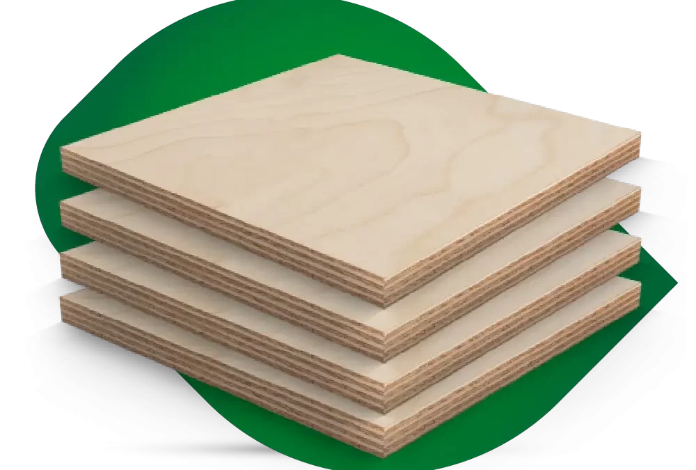 Birch (Huş) Marin Kontrplak