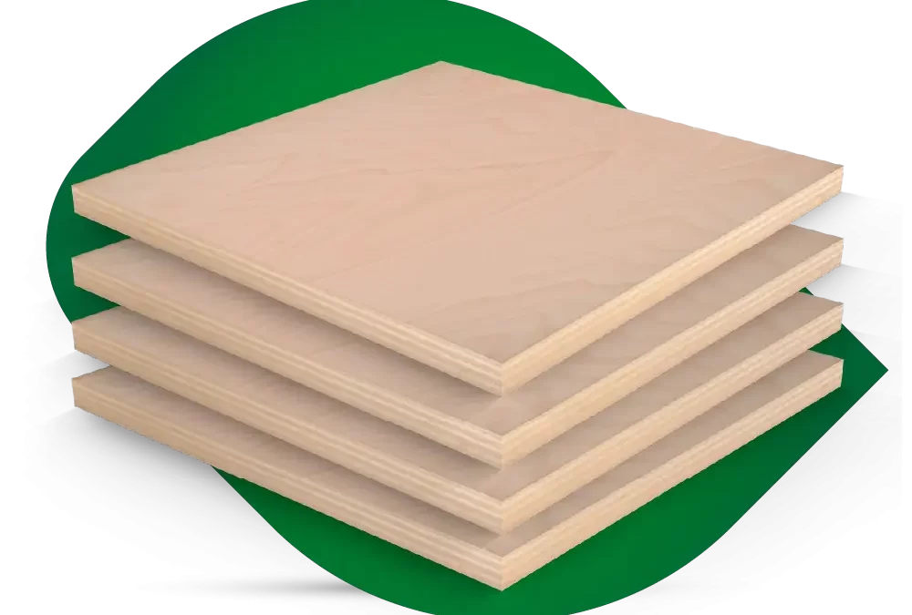 Kayın Marin Kontrplak